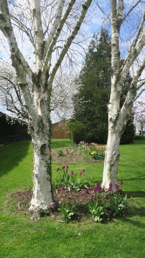 Le Clos Brayon Saint-Honore  Exterior foto
